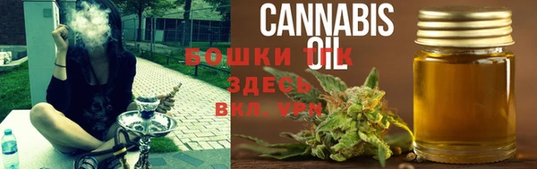 прущий лед Богородск