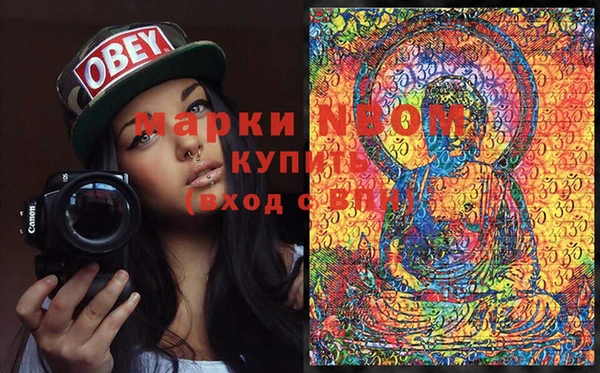 хмурый Богородицк
