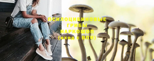 стафф Богданович