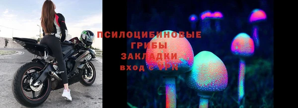 прущий лед Богородск