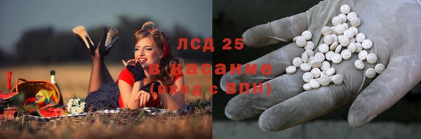 стафф Богданович