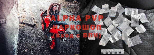 стафф Богданович