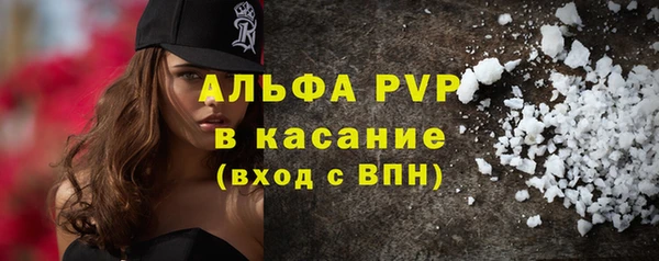 стафф Богданович